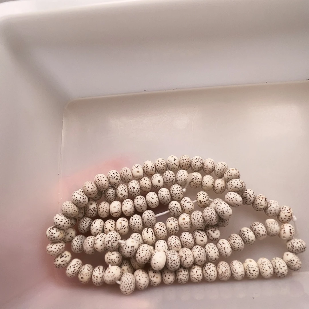 菩提根/象牙果手串