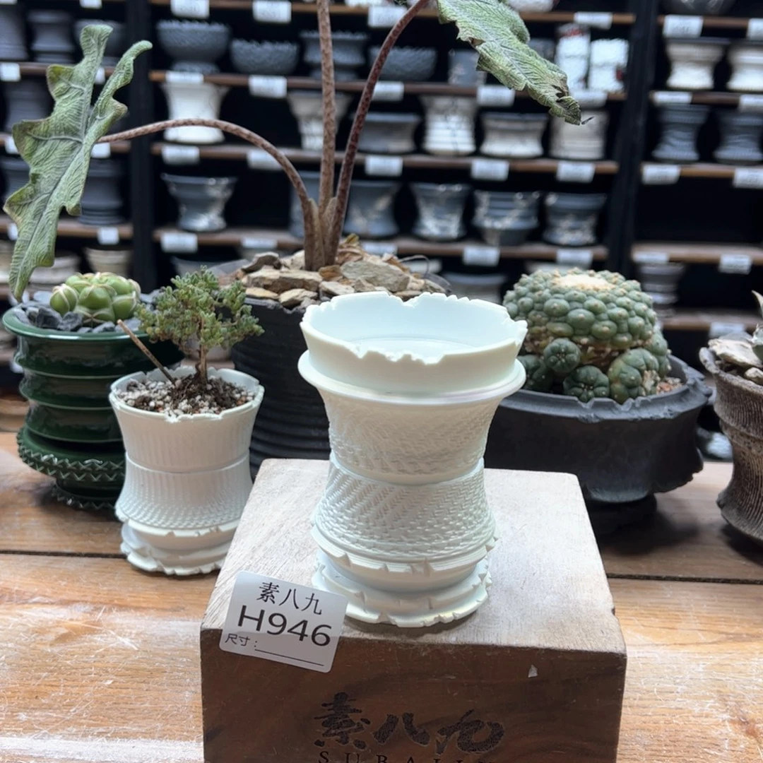 素八九陶瓷内口7.5高10.5