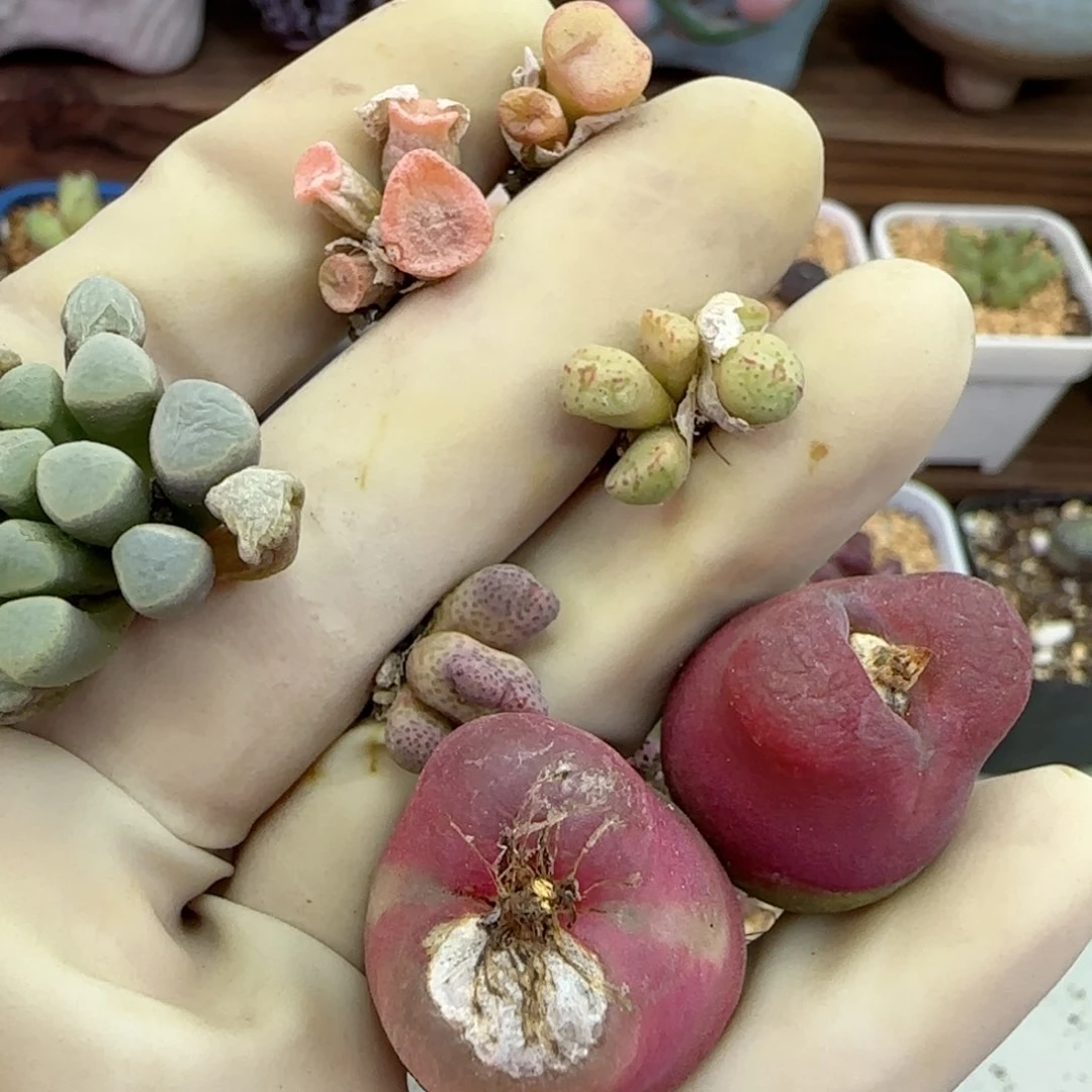 200福利福利福利