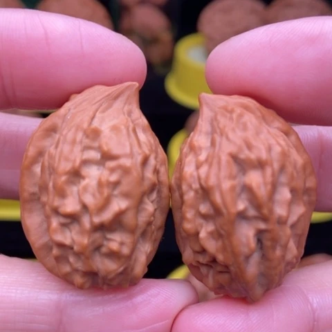 全品24异形11111111