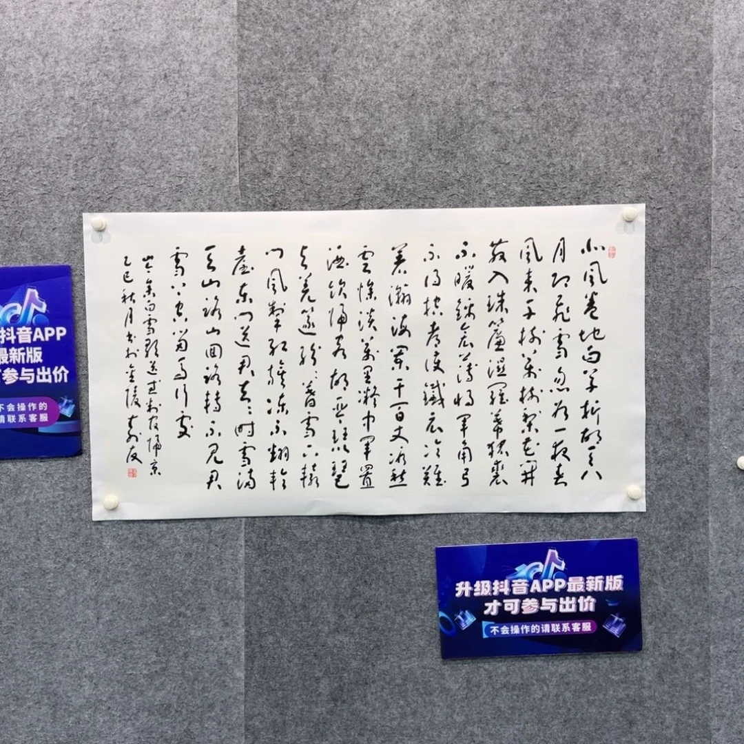 书法书法作品ZSY老师