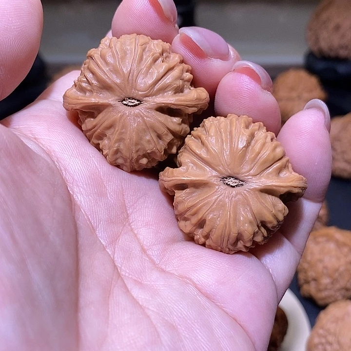 把件文玩核桃34野狮子王