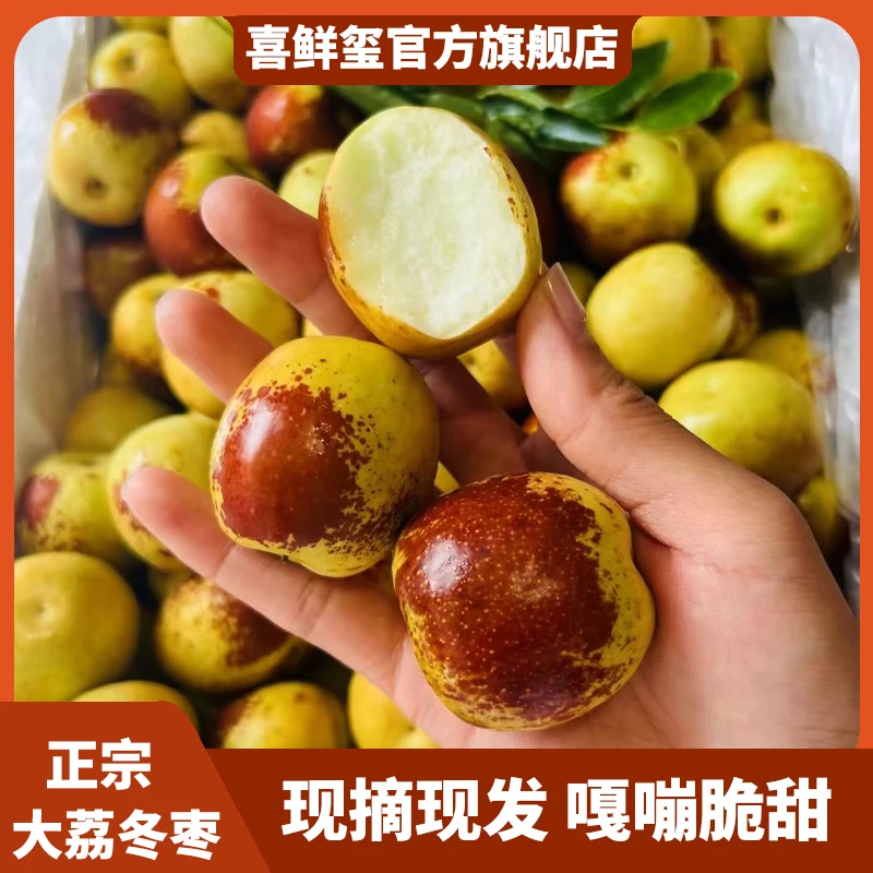 【现摘现发】正宗陕西大荔冰糖冬枣 2-5斤装 酥脆香甜新鲜京东顺丰