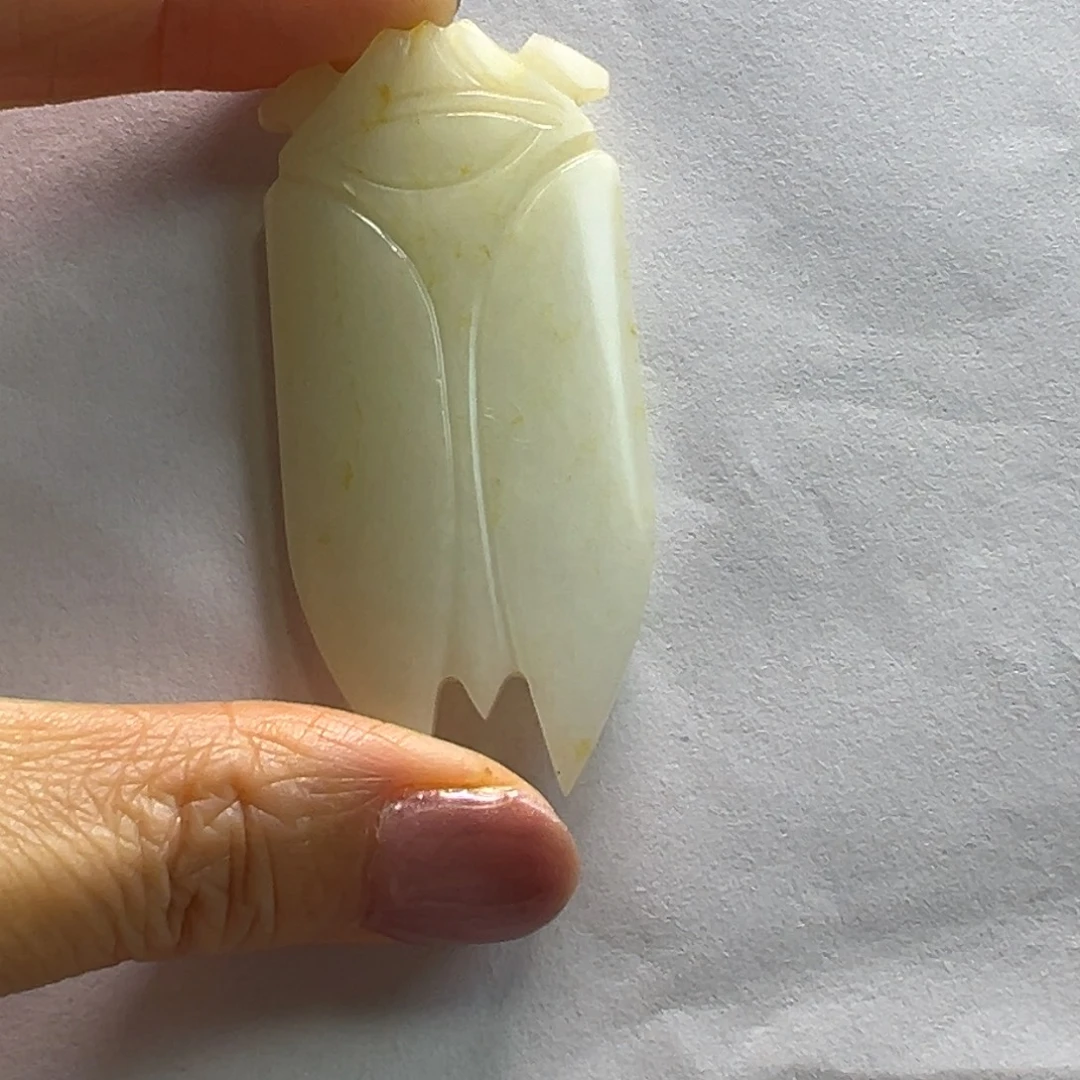 好***荐蝉蝉蝉蝉蝉蝉蝉蝉蝉