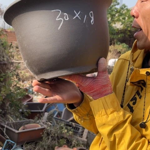 紫砂花盆特价包邮送