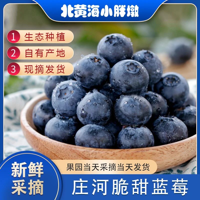 【大果】庄河花香蓝莓L25水果原产地现摘现发脆甜多汁一箱450g包邮