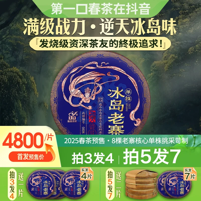 【春茶季高货】蕴品2025年春茶《飞天茶王-冰岛老寨单株》云南普洱茶