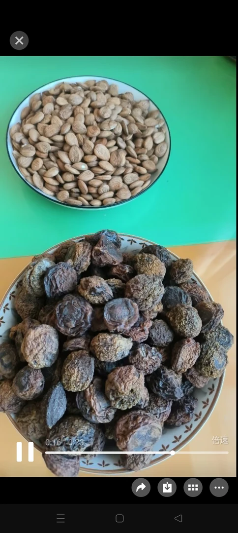 1. 天然臻味，千年传承：李广杏仁，源自丝路秘境，沐浴西北阳光。