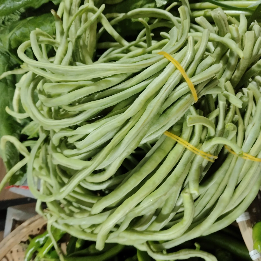 江西赣南秋豆角，豇豆新鲜蔬菜