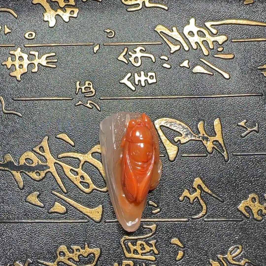 未镶嵌保山杨柳‘一鸣惊人’摆件手把件南红玛瑙