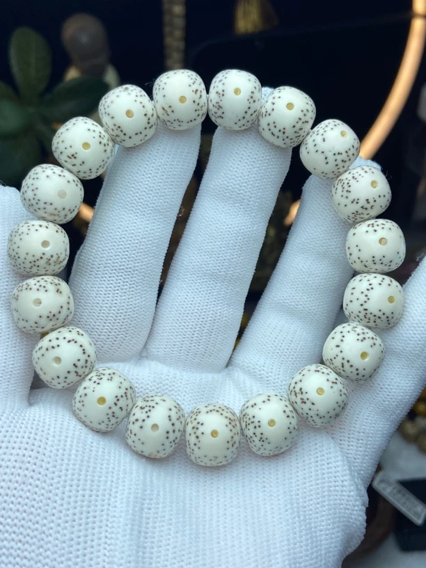 13/12海南原生态双留白同枝果