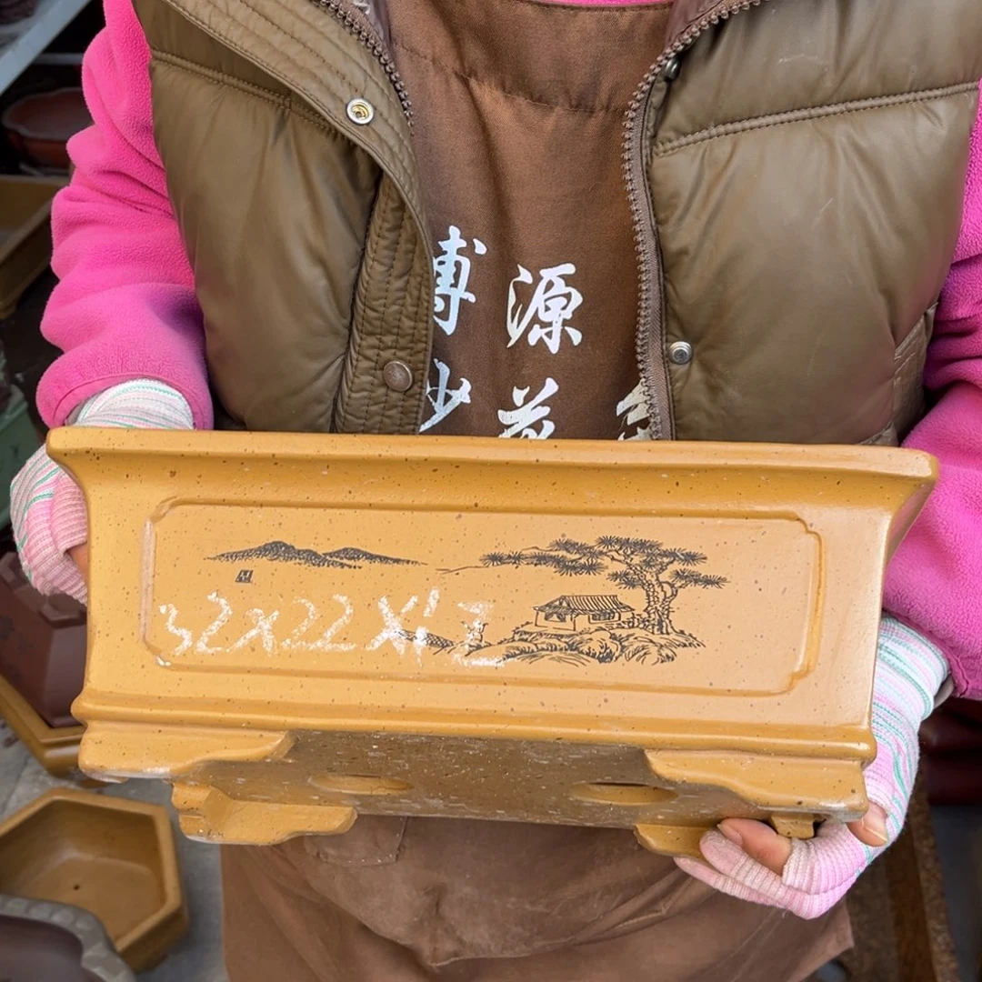 花盆紫砂盆景艺术