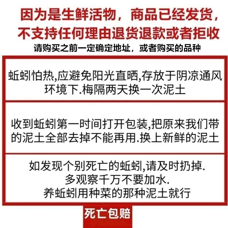 全国大部分地区新鲜活体大号青新鲜垂钓鲜活黑钓黄鳝死亡包赔蚯蚓