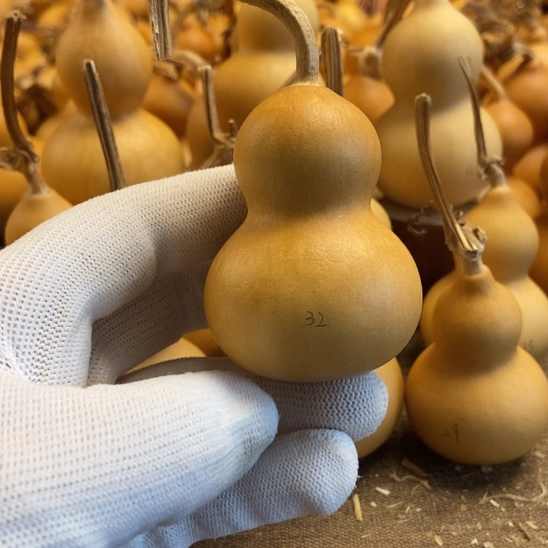 文玩葫芦 完美主义者 慎拍32