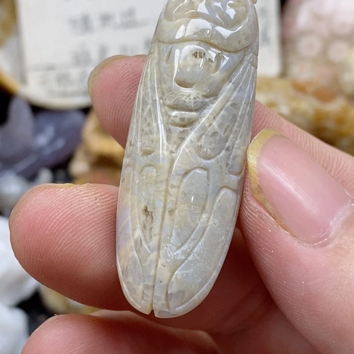颈饰未镶嵌硅化珊瑚(珊瑚玉)