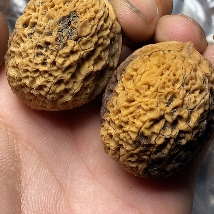 把件文玩核桃云南铁核桃34号41mm