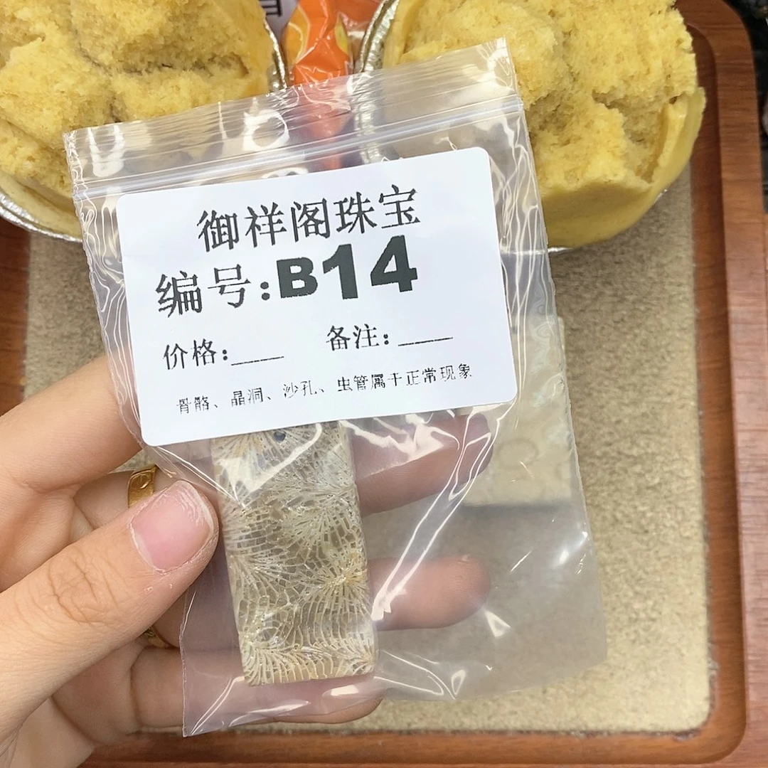 硅化珊瑚（珊瑚玉）颈饰未镶嵌让****啊