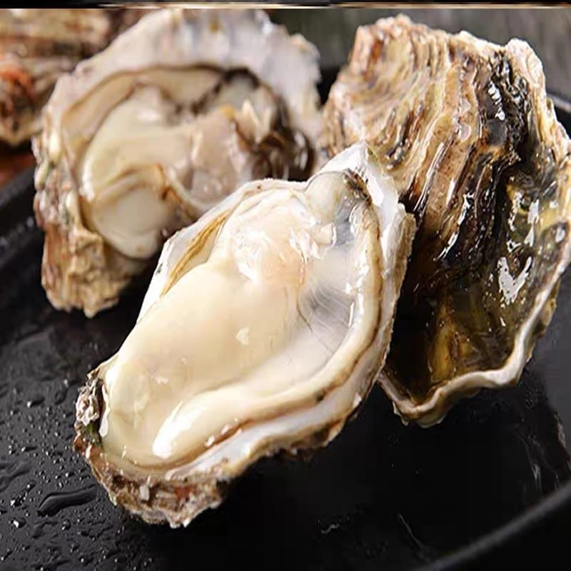 新鲜大生蚝 包鲜包肥 6斤