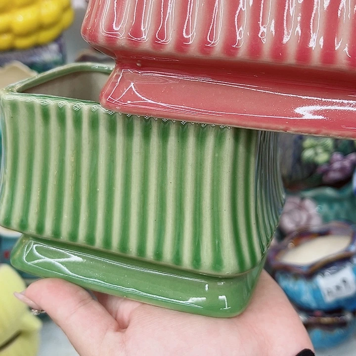 多肉植物陶瓷花盆