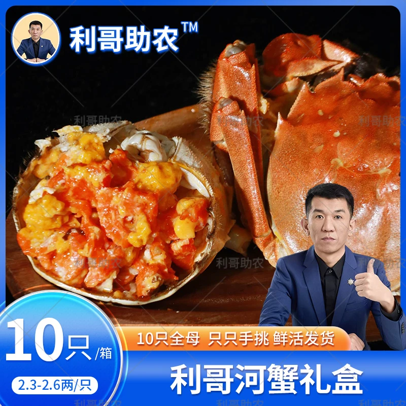 【活蟹】利哥助农利哥大闸蟹全母 2.3—2.6两/只 共10只