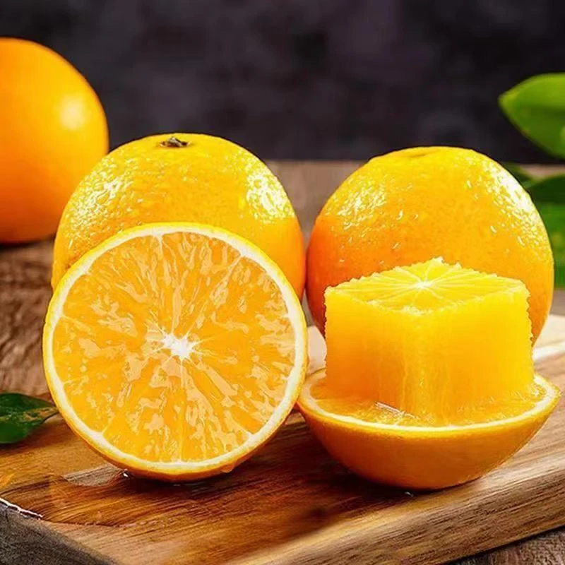 【正宗赣南脐橙】精品果新鲜当季水果原产地现摘现发橙子