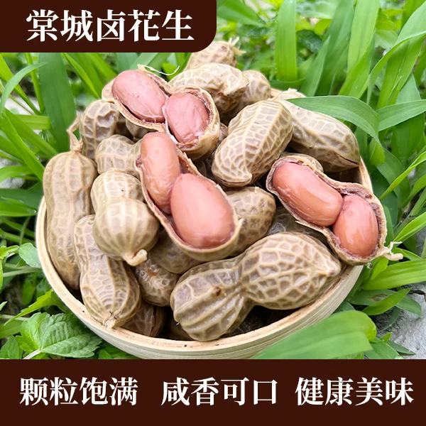 五香水煮带汁花生新鲜水煮夜市烧烤带壳湿花生