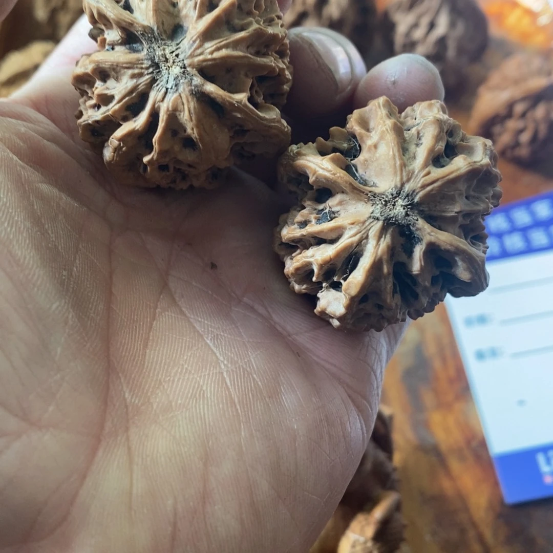 秦岭南侧和东北的山