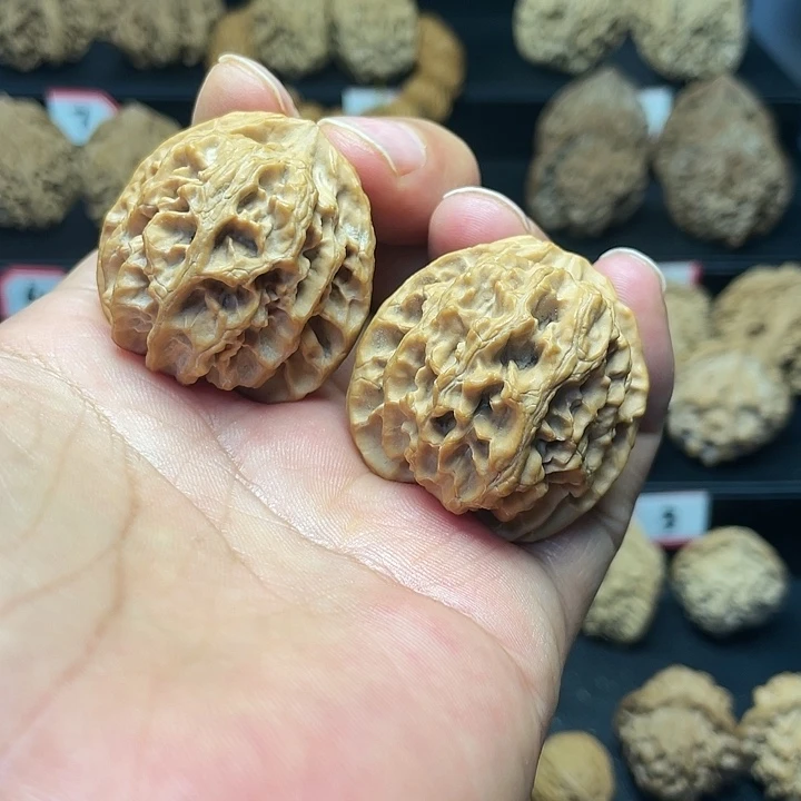 【闪购商品】文玩核桃把件秦岭苹果园37尺