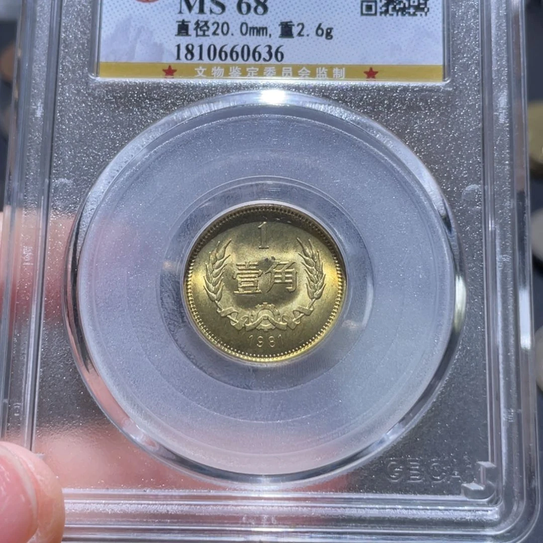 金属通古博今姚姚0636
