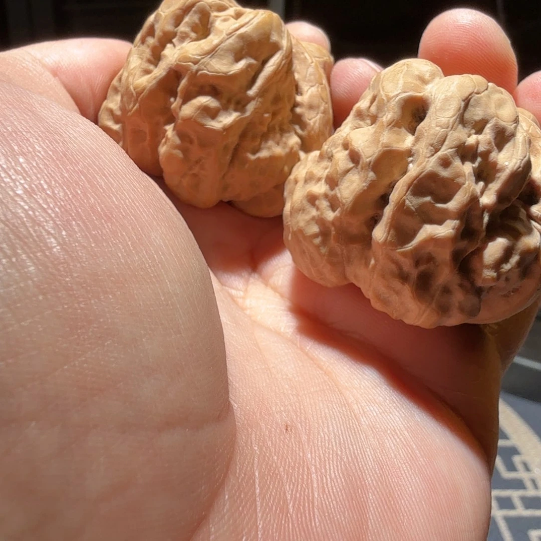 文玩核桃把件金蟾