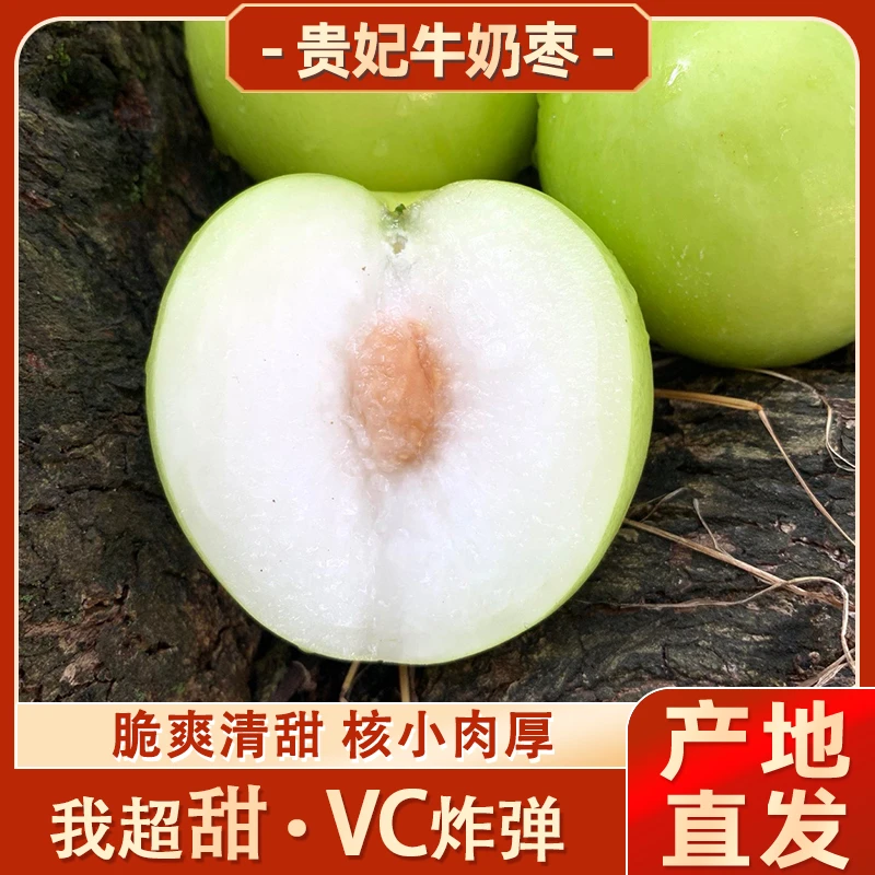 {鸡哥专属}正宗福建贵妃牛奶枣大青枣现摘新鲜水果当季脆甜多汁