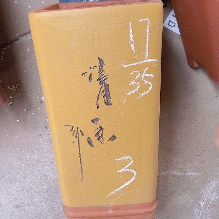 周深周深周深周深周深