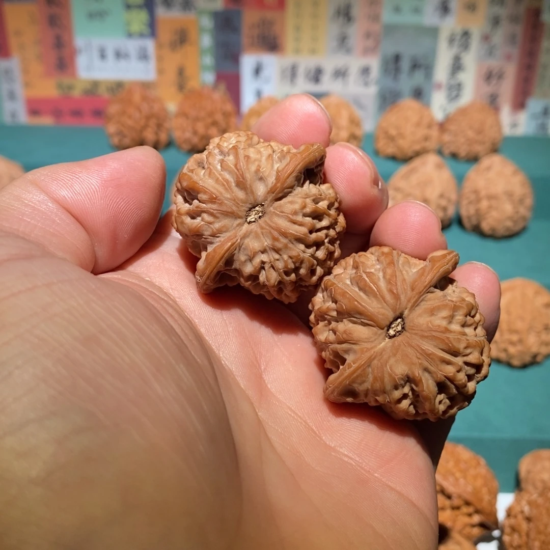 叶***子把件文玩核桃血麒麟