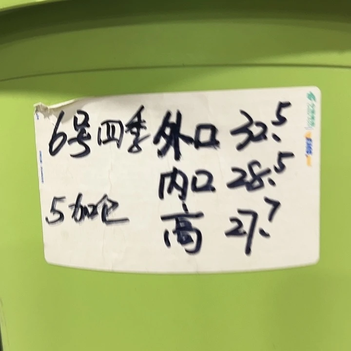 特价四季6号口32.5高27白色7只无托