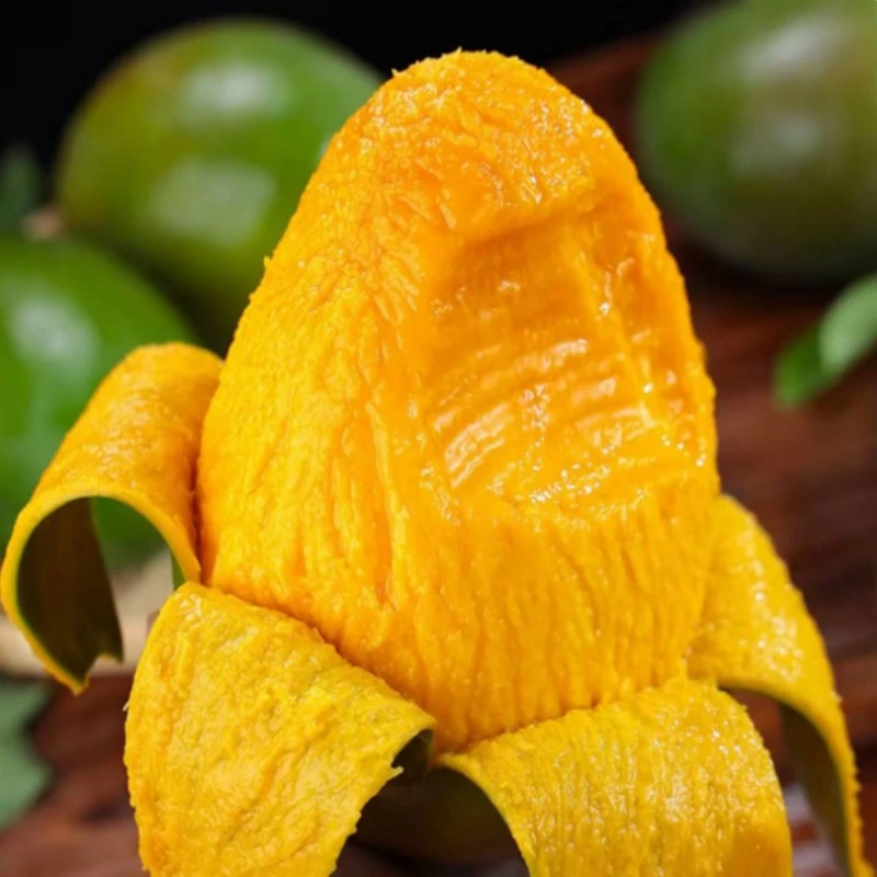 攀枝花凯特芒新鲜采摘肉厚多汁当季热带水果带箱5斤400克起3-6个