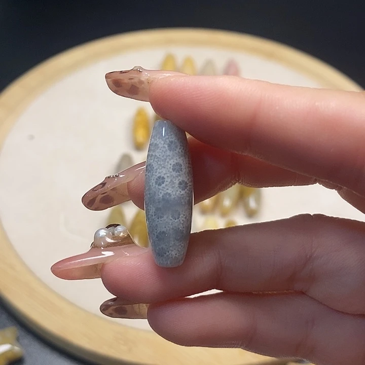 硅化珊瑚（珊瑚玉）未镶嵌颈饰