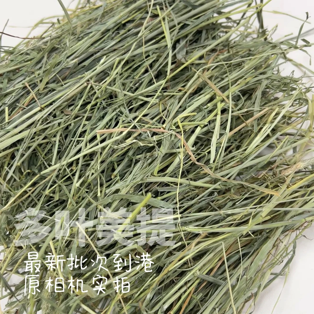 进口赛级提摩西|美提一番二压| 高山雪水灌溉| 兔兔豚鼠龙猫主草