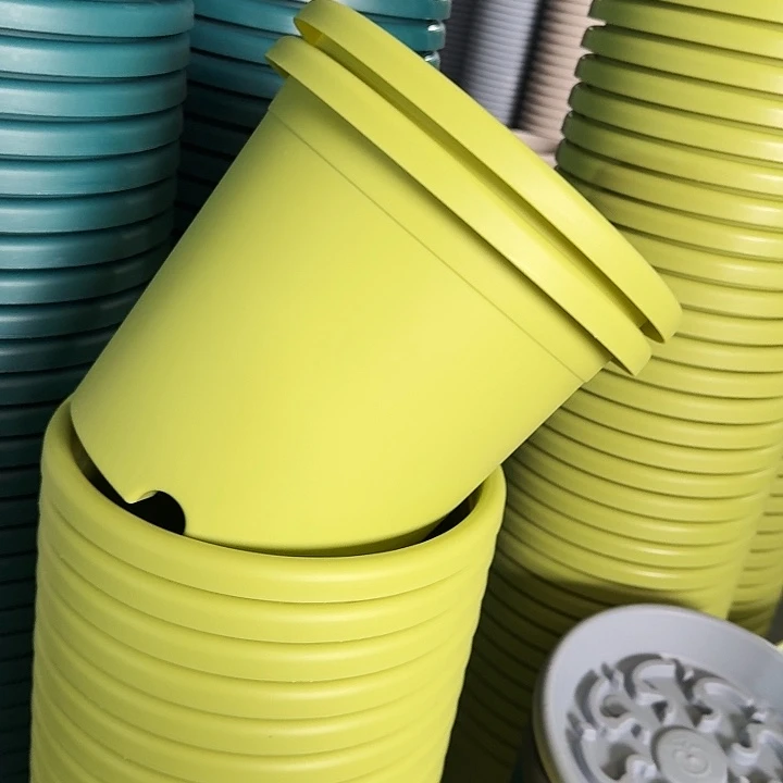 四季4#口径25果绿8个无托