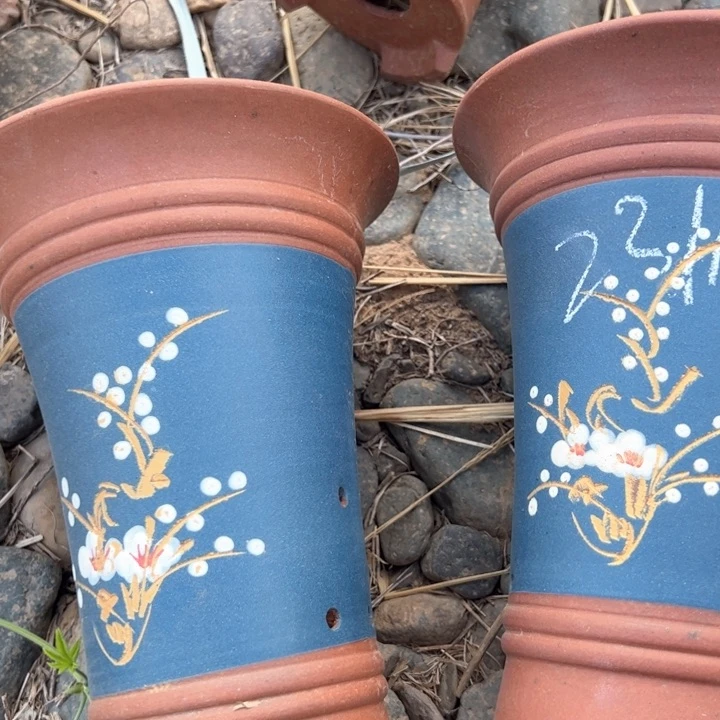 紫砂兰花哦兰花盆瑕疵许