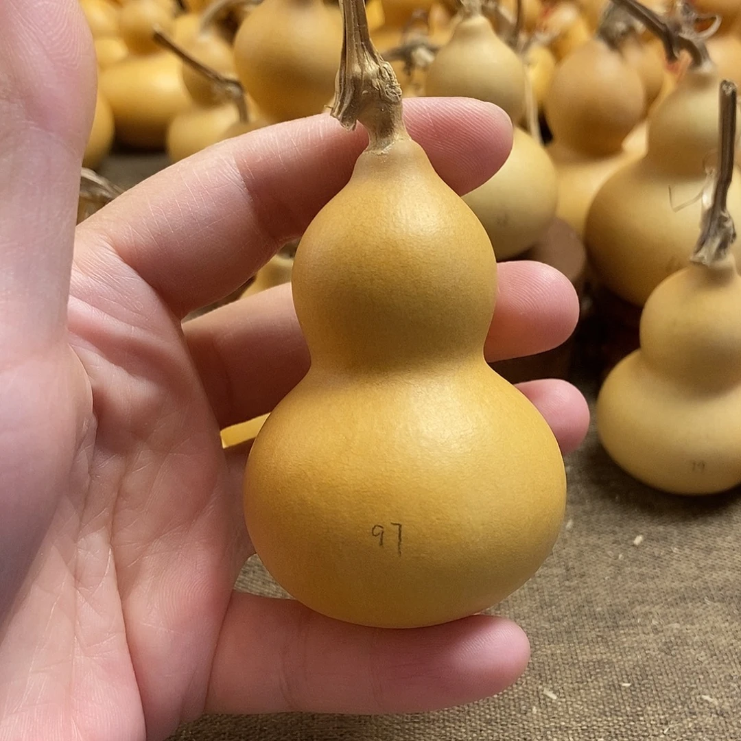 文玩葫芦 完美主义者 慎拍97