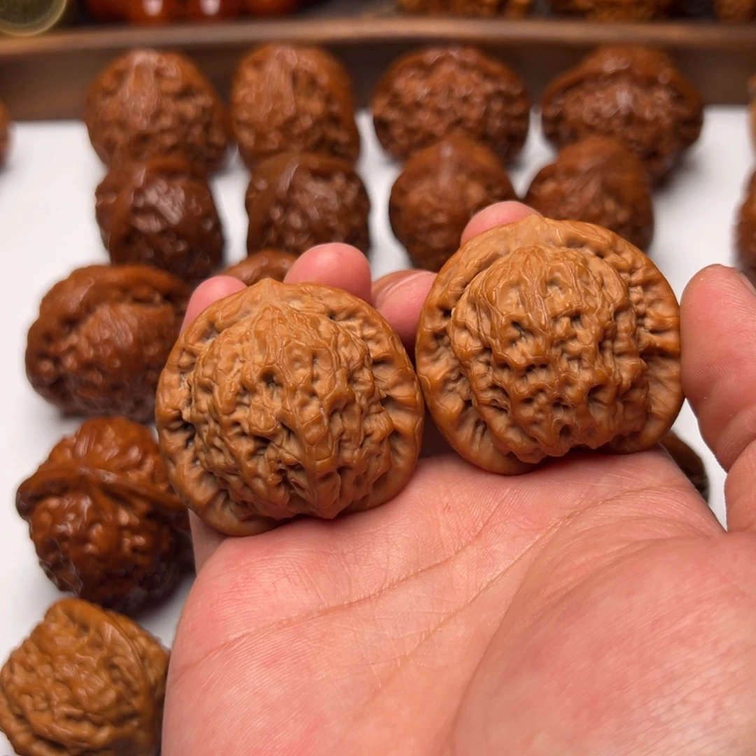 文玩核桃把件小****金公子