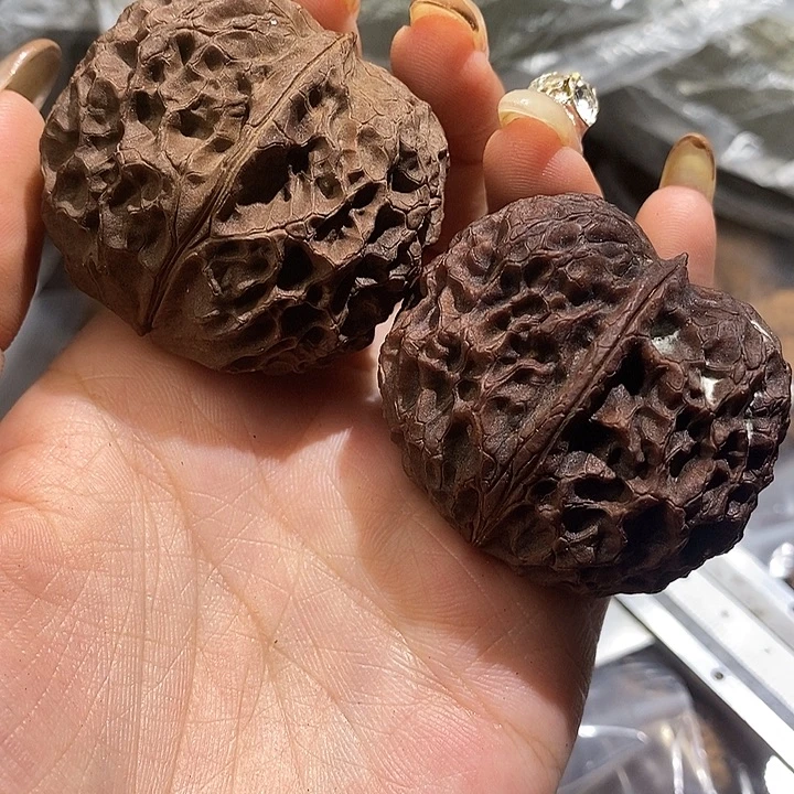 核桃云南野生铁核桃23号45mm