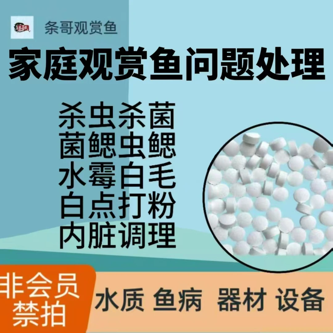 条哥观赏鱼水质调节