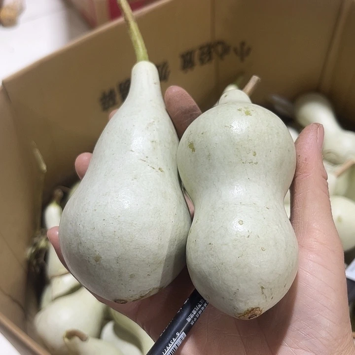 大果紫檀（缅甸花梨）时**转