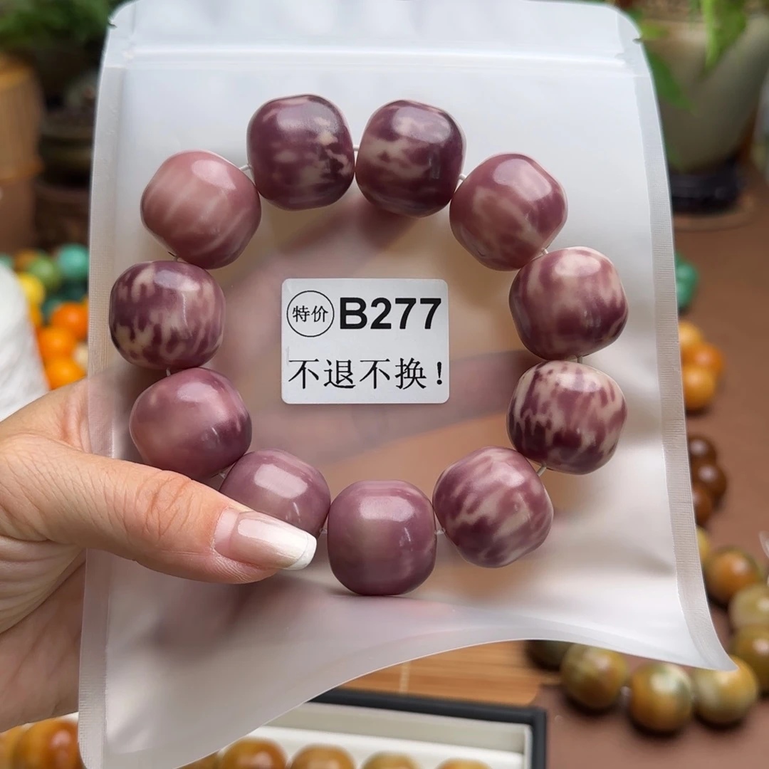 鸟****菩提根/象牙果手串B277