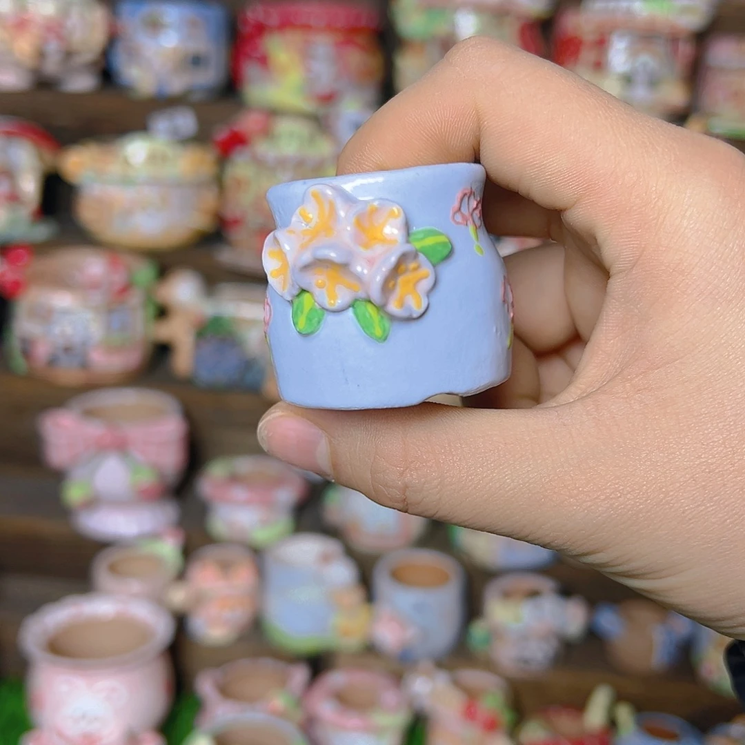 红陶豆*老梧家多肉花盆