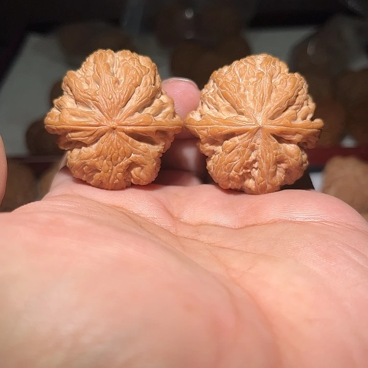 木41大粗筋。