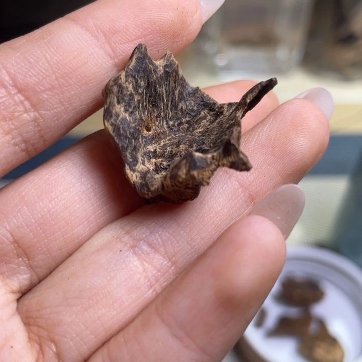 沉香海南尖峰岭沉水包头碎1.3克福利