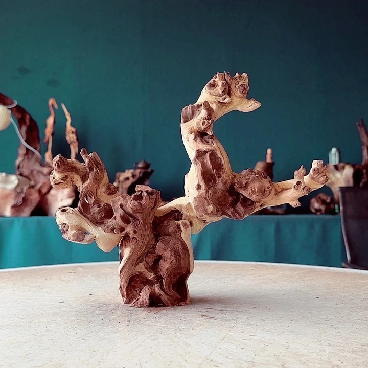 伊***客金丝檀260 金丝红木羊蹄甲半成品