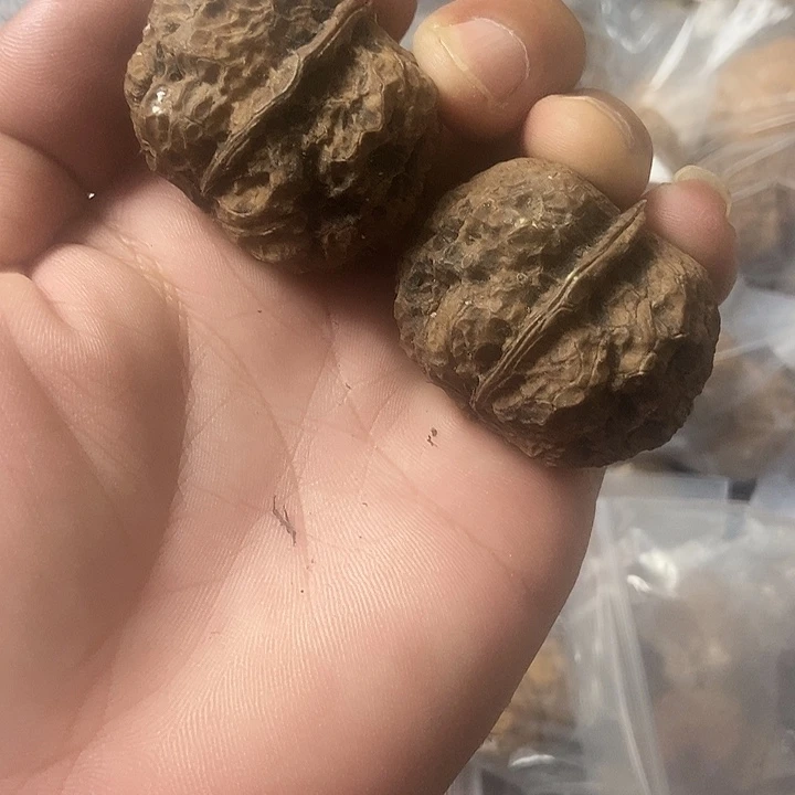 文玩核桃把件云南铁核桃基地1 3